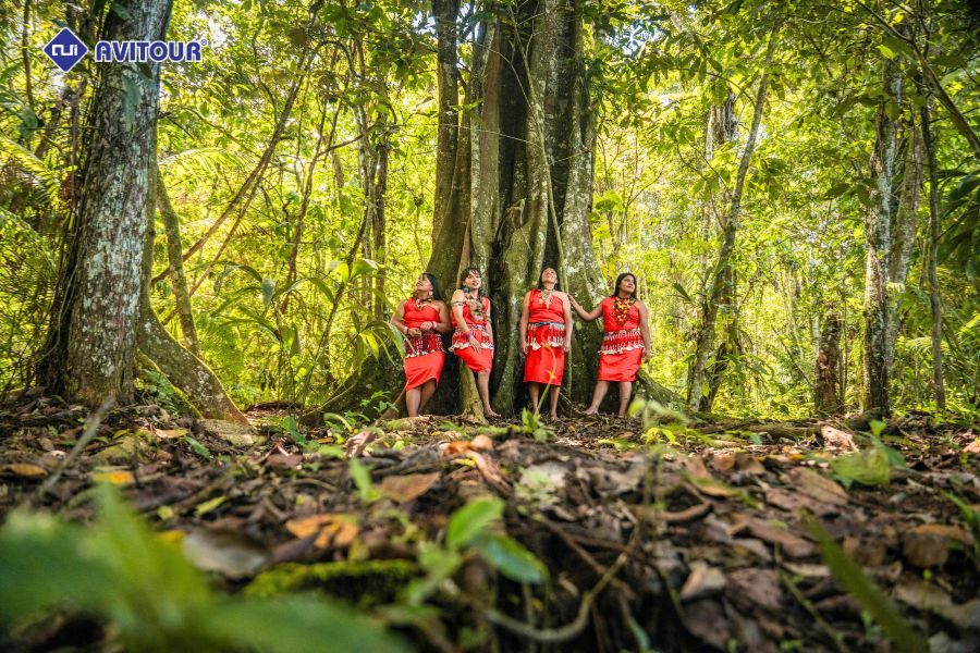 Tham quan rừng già Amazon: Hệ sinh thái kỳ bí nhất thế giới