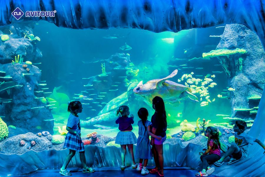 Tham quan Sydney Zoo và khám phá thế giới động vật hoang dã