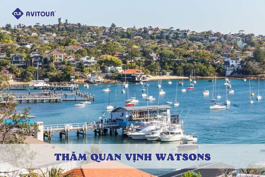 Thăm quan vịnh Watsons: Điểm đến tuyệt đẹp không thể bỏ lỡ tại Úc