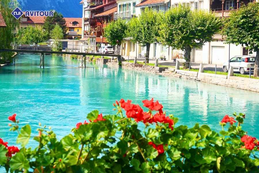 Thị trấn Interlaken - Bức tranh thiên nhiên hoàn hảo của Thụy Sĩ