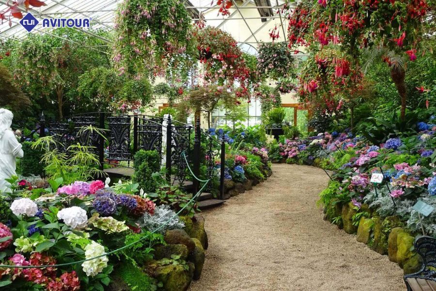 Thời điểm vàng để tận hưởng trọn vẹn vẻ đẹp của công viên Fitzroy