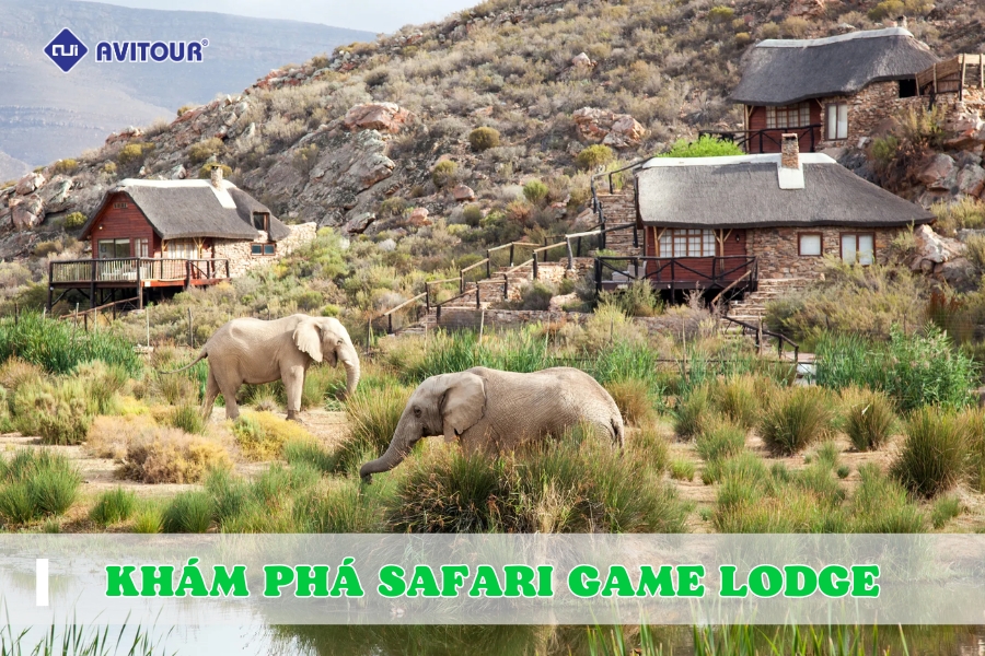 Thức Dậy Giữa Thế Giới Hoang Dã Tại Safari Game Lodge