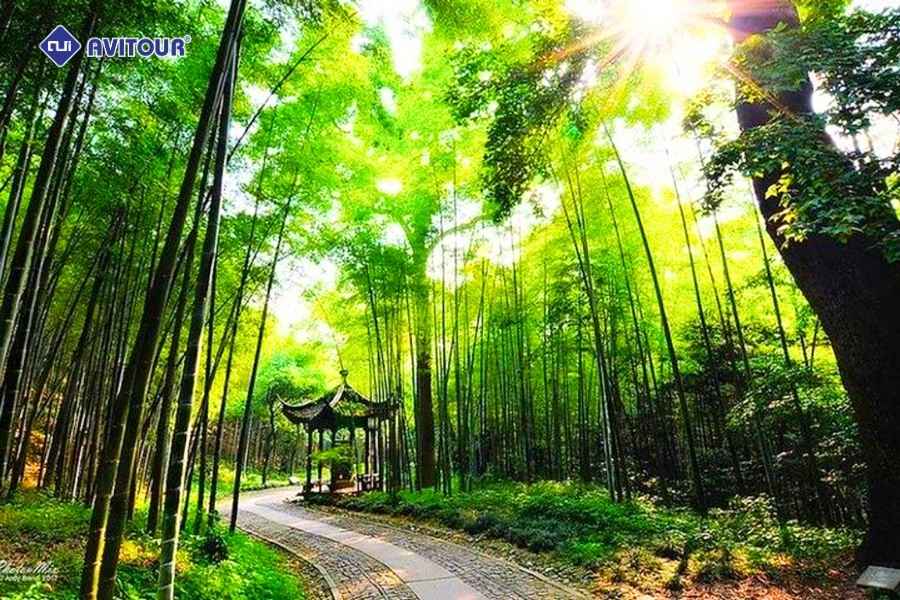Thưởng ngoạn Tây Hồ Hàng Châu - Bức họa thủy mặc hữu tình giữa nhân gian cổ kính