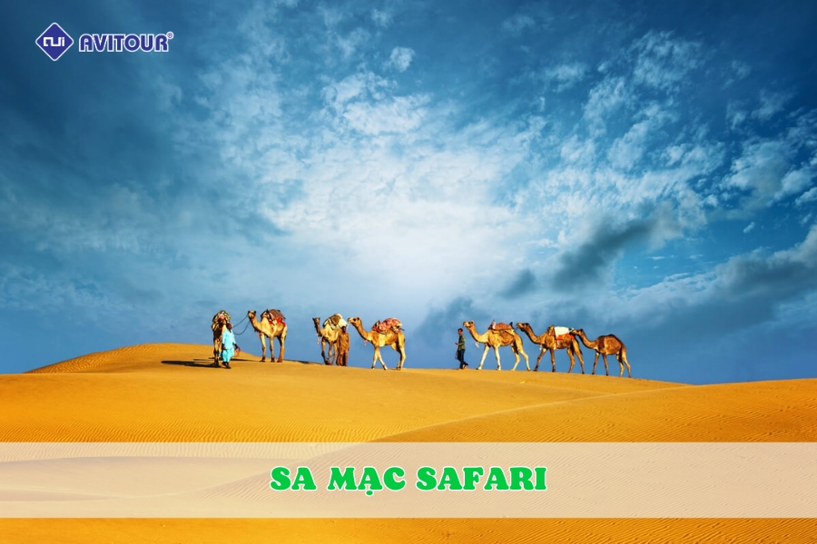 Tìm hiểu Bedouin và bí mật thiên văn tại sa mạc Safari