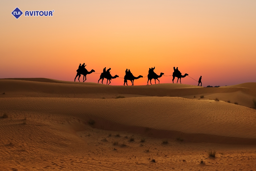 Tìm hiểu Bedouin và bí mật thiên văn tại sa mạc Safari