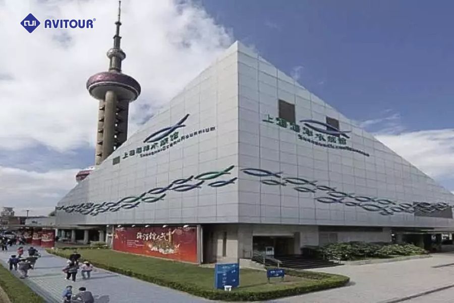 Top 5 trải nghiệm thú vị khi tới khu phố Đông Thượng Hải