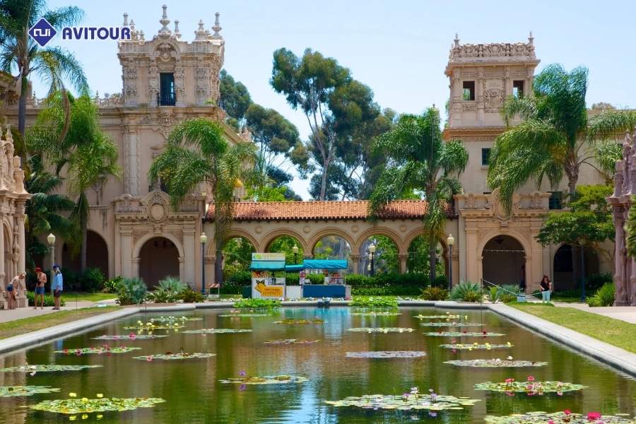 Top 7 điểm check-in không thể bỏ lỡ khi khám phá thành phố San Diego