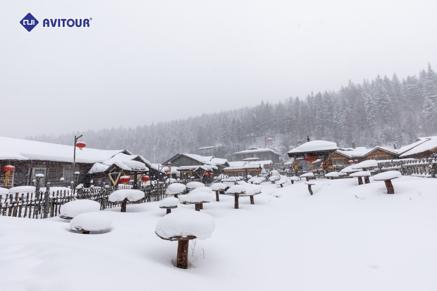 Du lịch Cáp Nhĩ Tân làng tuyết: Hành trình vào thế giới cổ tích trắng xóa