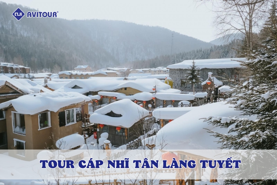 Tour Cáp Nhĩ Tân làng tuyết: Trải nghiệm mùa đông kỳ diệu tại thiên đường băng giá