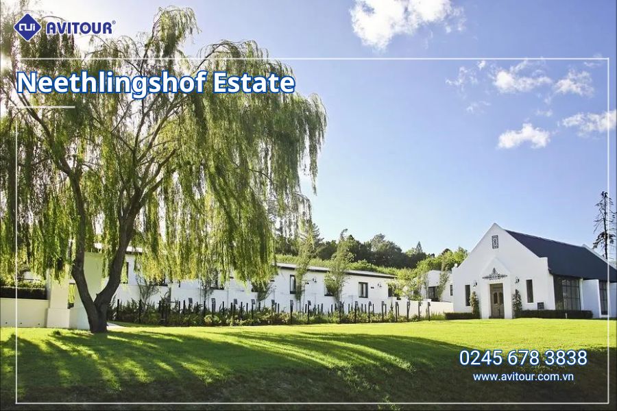 TOUR KHÁM PHÁ NAM PHI HOANG DÃ & HIỆN ĐẠI DỊP LỄ 30/4: JOHANNESBURG - PRETORIA - SAFARI GAME LODGE - CAPE TOWN - VÙNG RƯỢU VANG STELLENBOSCH - DU THUYỀN NGẮM HOÀNG HÔN TRÊN VỊNH NÚI BÀN