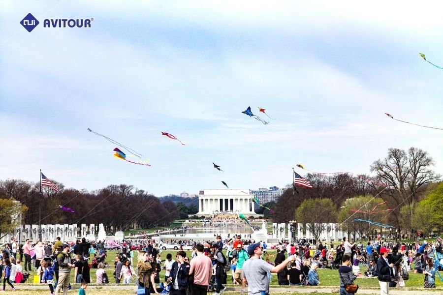 Trải nghiệm "có một không hai" tại lễ hội hoa anh đào ở Mỹ