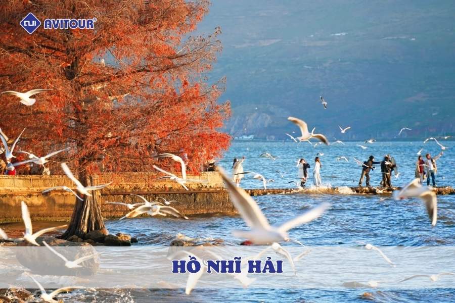 Trải nghiệm không thể bỏ lỡ khi đến hồ Nhĩ Hải Đại Lý
