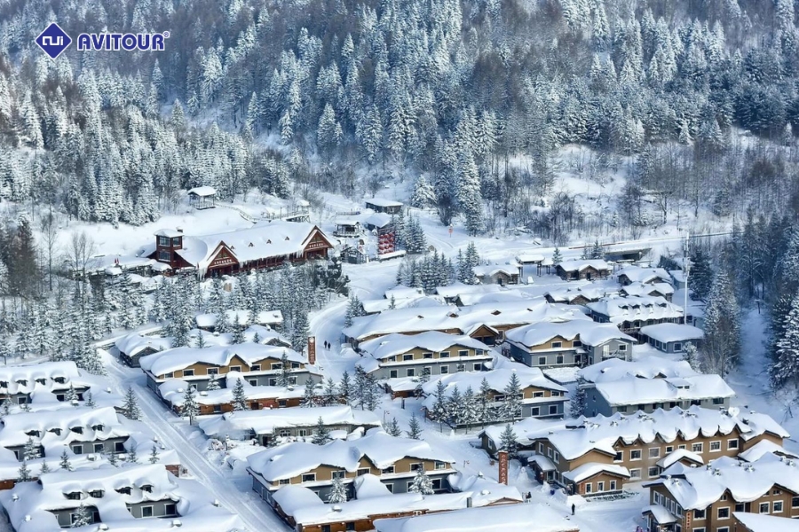 Trang phục du lịch Cáp Nhĩ Tân: Bí quyết lựa chọn phù hợp cho mùa đông lạnh giá