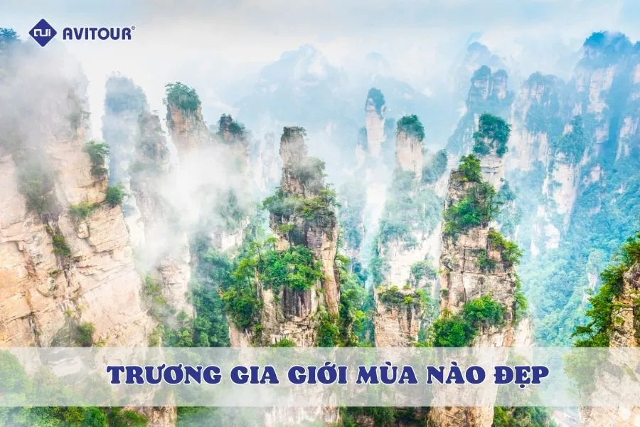 Trương Gia Giới mùa nào đẹp nhất? Khám phá thiên đường du lịch bốn mùa với vô vàn hoạt động