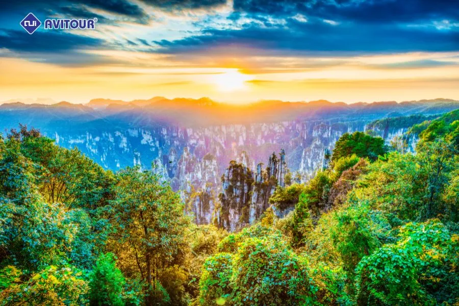 Trương Gia Giới mùa nào đẹp nhất? Khám phá thiên đường du lịch bốn mùa với vô vàn hoạt động