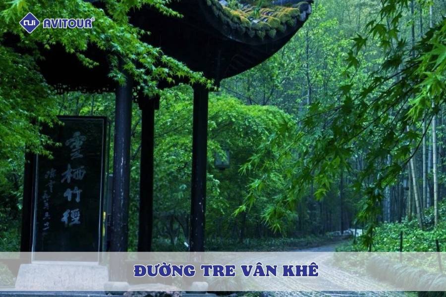 Vẻ đẹp thanh bình của đường tre Vân Khê khiến ai cũng say lòng