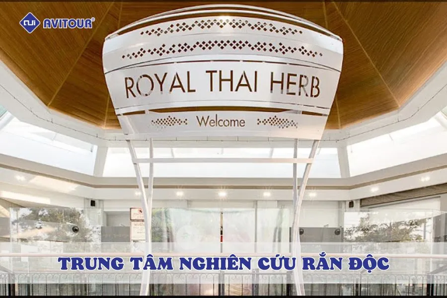 Vén màn bí mật về Trung tâm nghiên cứu Rắn độc Thái Lan