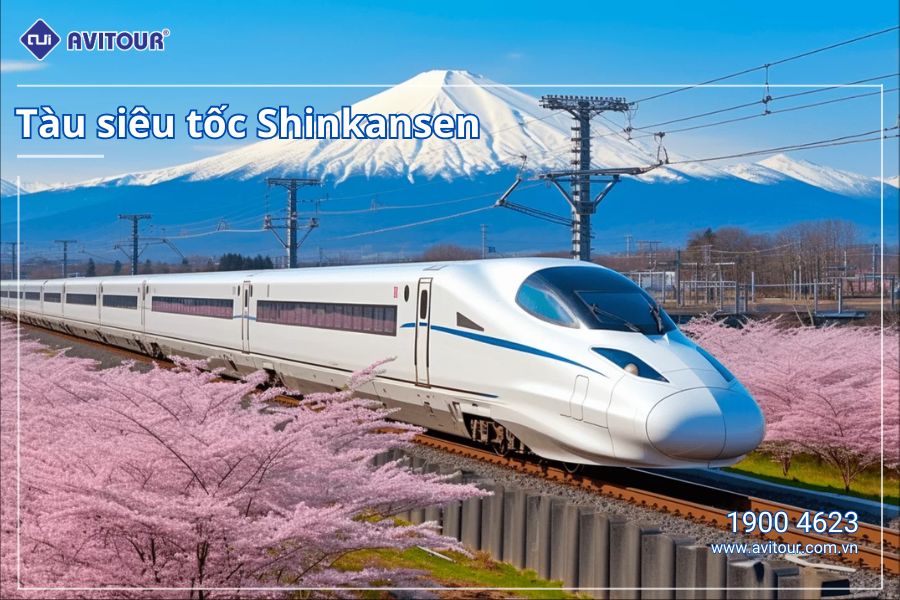 VI VU NHẬT BẢN MÙA ĐÔNG HÀ NỘI – TOKYO – PHÚ SĨ- OSAKA – KYOTO