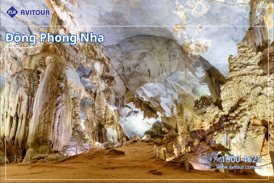 VI VU QUẢNG BÌNH CÙNG AVITOUR | QUẢNG BÌNH - VŨNG CHÙA ĐẢO YẾN - BÃI ĐÁ NHẢY - HANG TÁM CÔ - ĐỘNG PHONG NHA