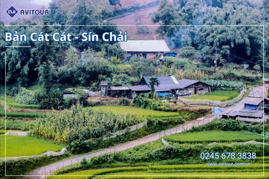VI VU TẾT ÂM LỊCH 2025: HỒ CHÍ MINH - HÀ NỘI - LÀO CAI - SAPA - NINH BÌNH - TAM CHÚC - HẠ LONG