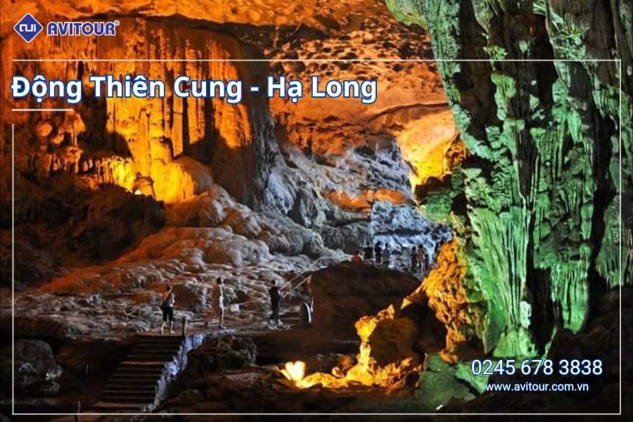 VI VU TẾT ÂM LỊCH 2025: HỒ CHÍ MINH - HÀ NỘI - LÀO CAI - SAPA - NINH BÌNH - TAM CHÚC - HẠ LONG