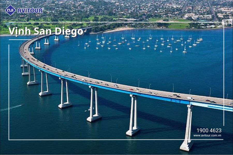 Du lịch Đông Tây Hoa Kỳ 2024 - Vịnh San Diego