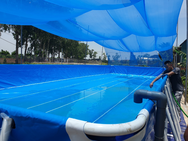 Quy trình lắp đặt thi công bể Bơi Thông Minh