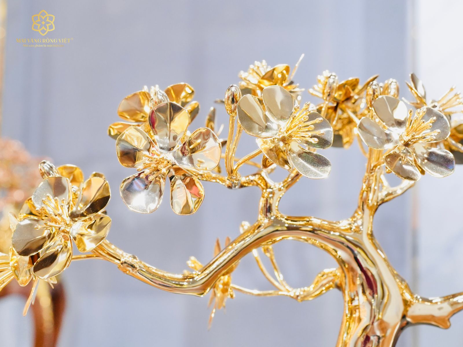 các bông hoa mai của cây Mai Nghinh Phong mạ vàng 24K