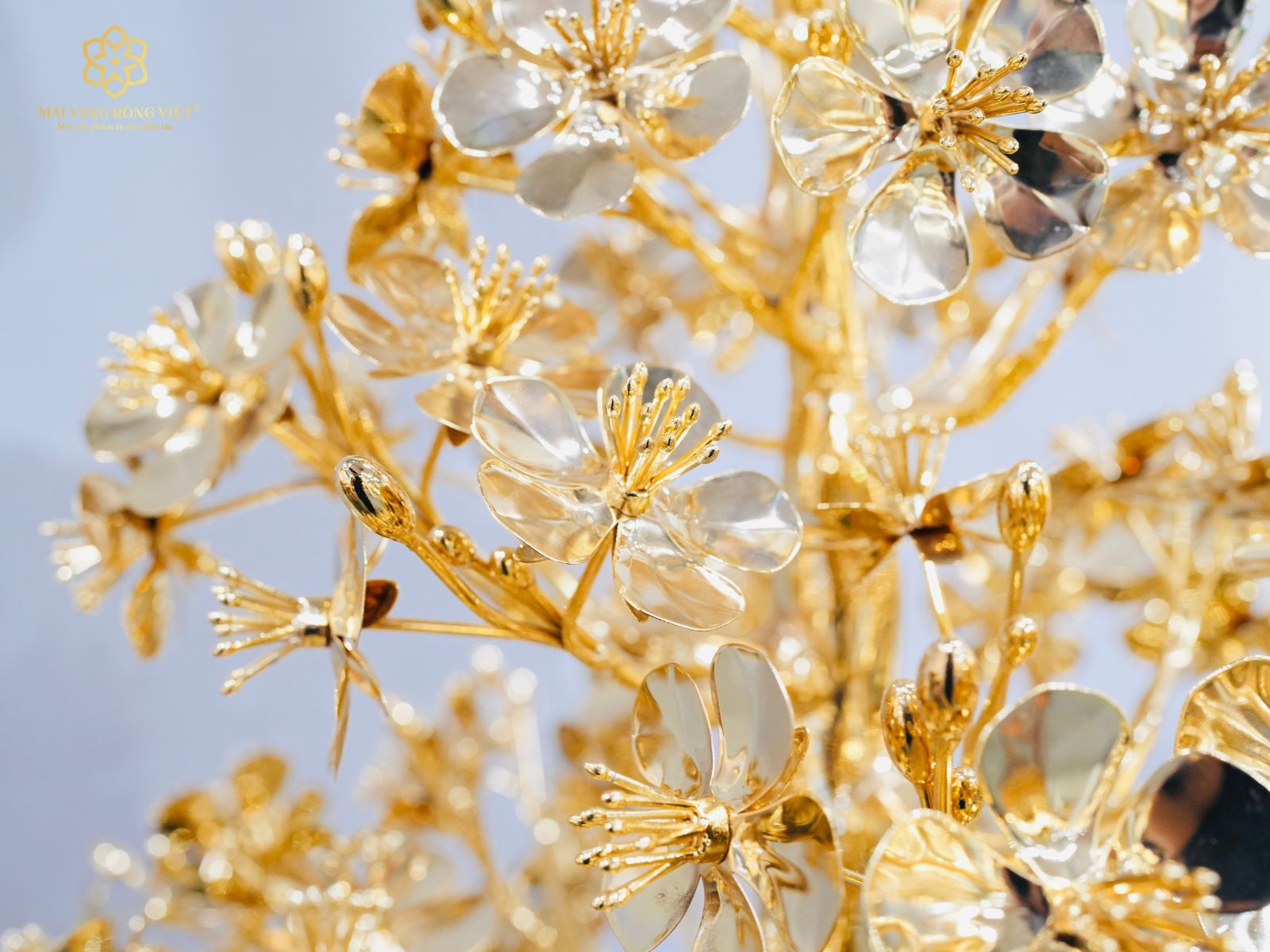 Cây Mai Đại Phúc Mạ Vàng 24K Cao 60cm Hoa Nụ Và Nhụy