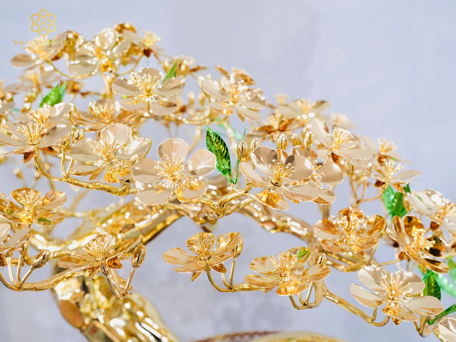 Tán cành và lá của cây mai Kỳ Lân mạ vàng 24K