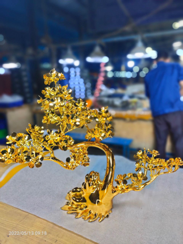 Cây mai mạ vàng thích hợp để trưng bày trong phòng khách