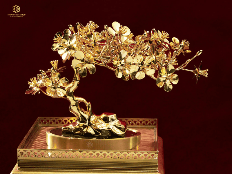 Cây mai Ngũ Phúc Mạ Vàng