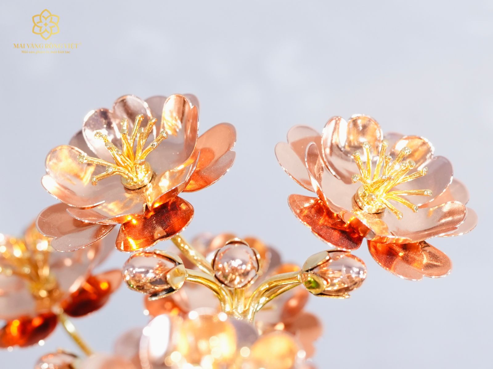 Bông hoa đào của cây Đào Bạt Phong Mạ Vàng 24K Mix Rose Gold