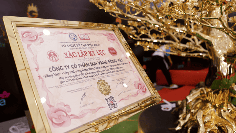 Hãy trang bị kiến thức trước khi mua đồng mạ vàng