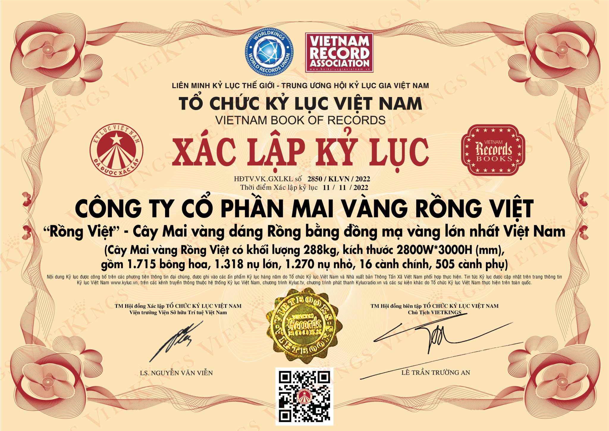 kỷ lục việt nam cây mai - mai vàng rồng việt