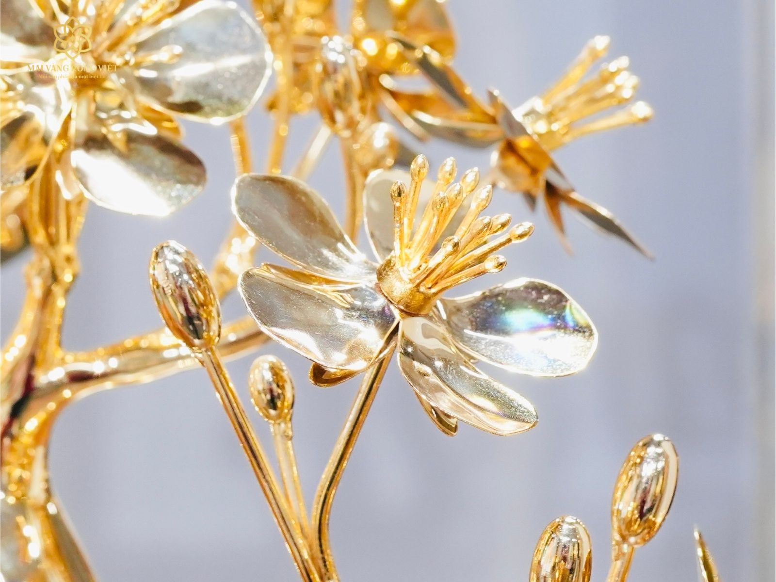 nhụy hoa của mai Nghinh Phong mạ vàng 24k