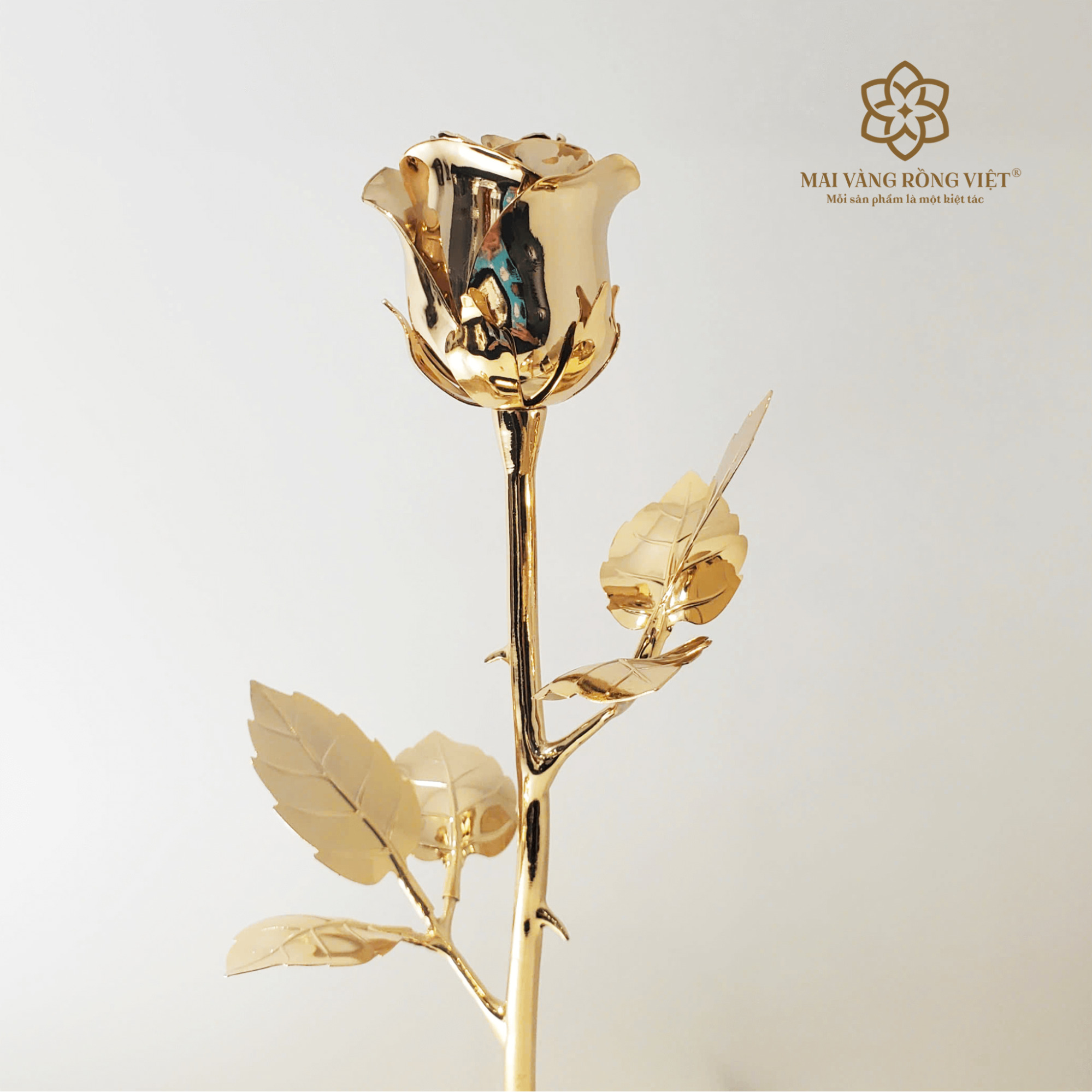 mừng thọ tặng gì