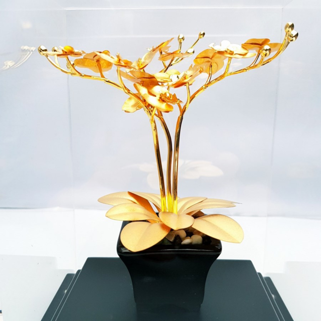 Quà tặng cây bonsai kim tiền mạ vàng đem đến nhiều may mắn, tài lộc