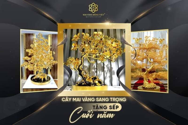 Mai Vàng Rồng Việt - Địa chỉ mua quà tặng cho sếp về hưu chất lượng, uy tín