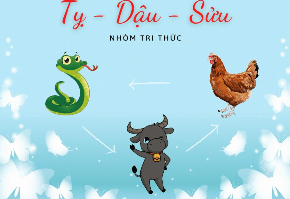 tam hợp là gì? Nhóm tam hợp Tỵ Dậu Sửu