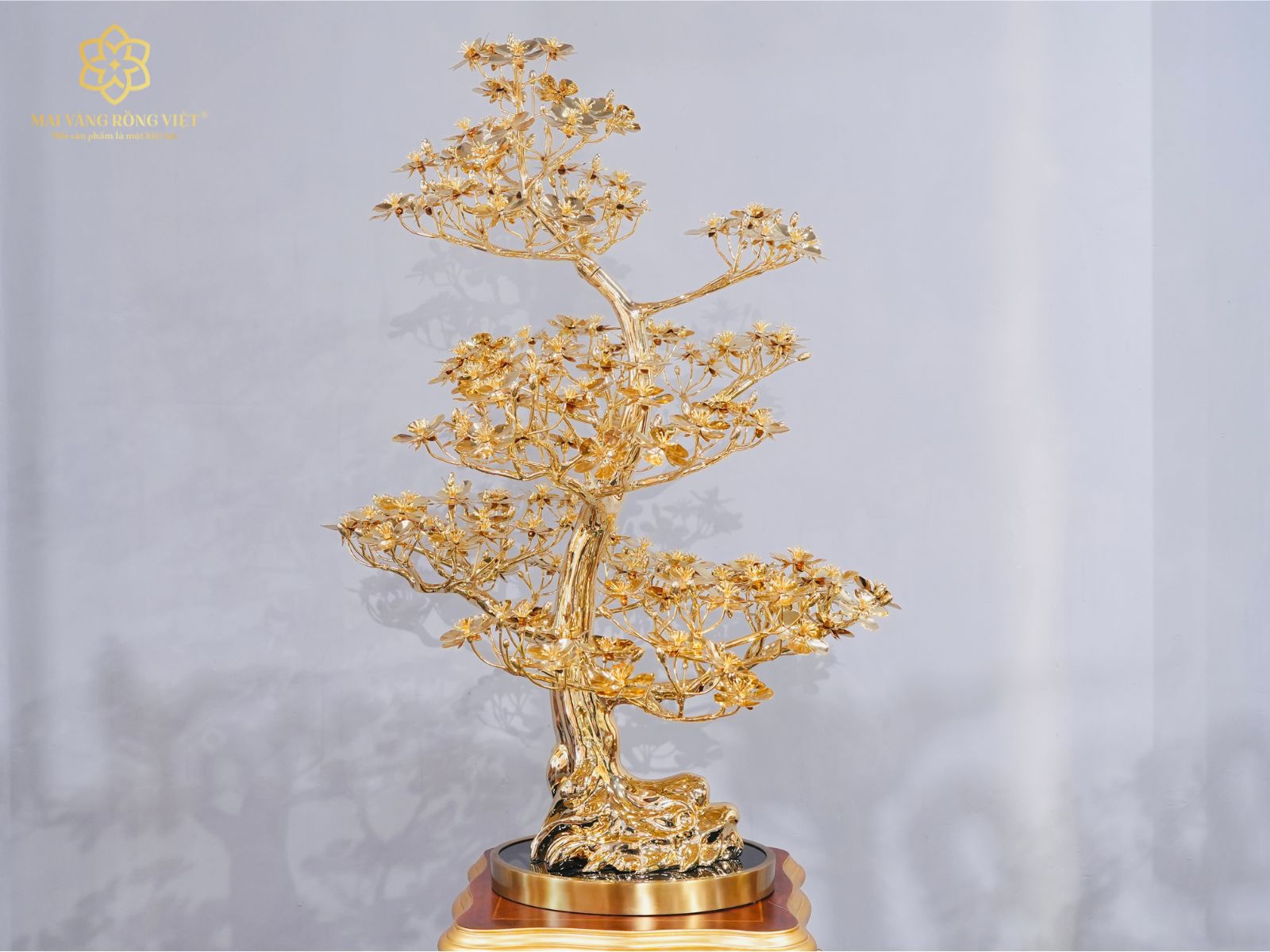 Thiết kế dáng cây Mai Rồng Việt hình chữ S