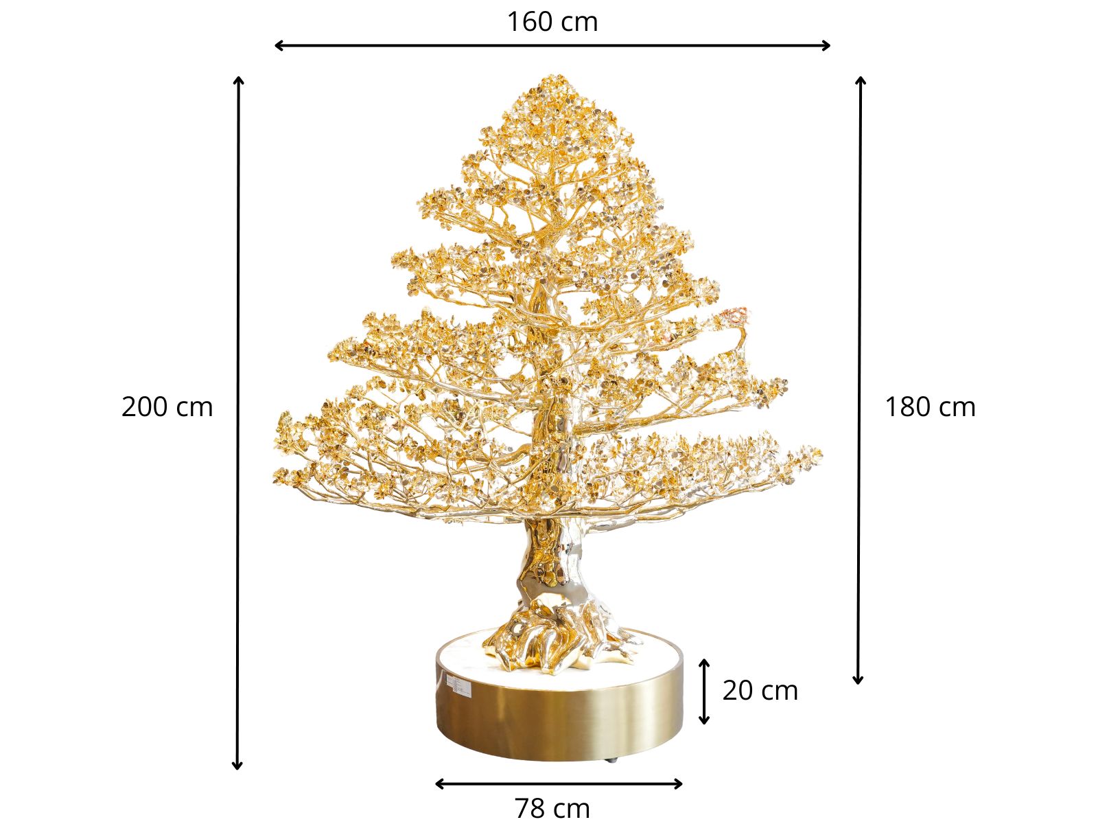 Thông số cây Mai Đại Phúc Mạ Vàng 24K cao 1m8