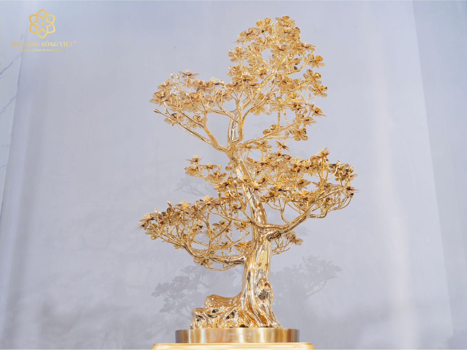 Ý nghĩa cây Mai Rồng Việt