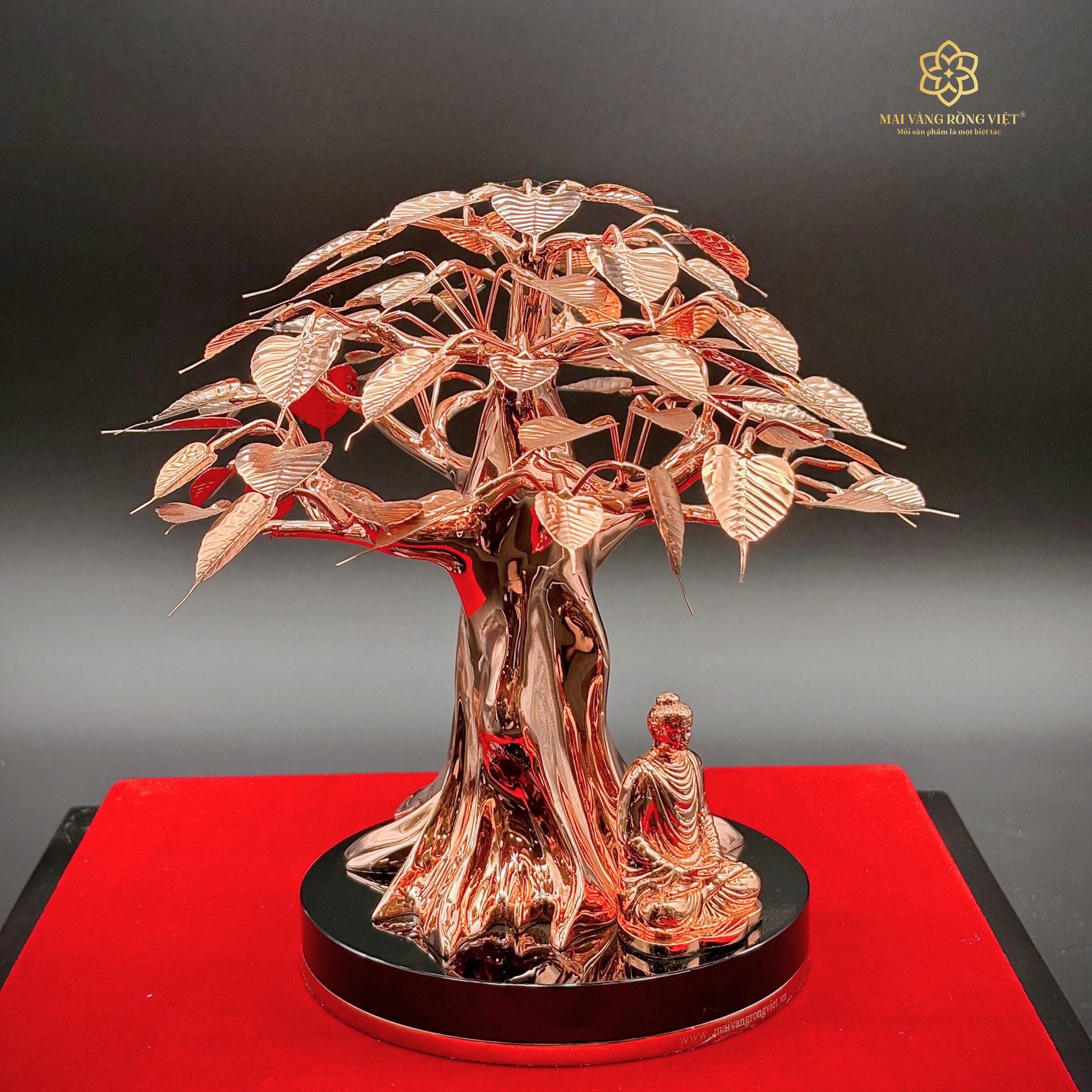 Cây Bồ Đề Bình An Cao 20cm - Full Rose