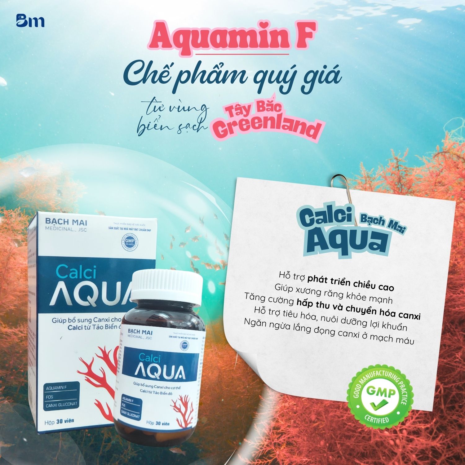 Calci Aqua Family nổi lên như một lựa chọn nguồn canxi dễ hấp thụ, an toàn và hiệu quả