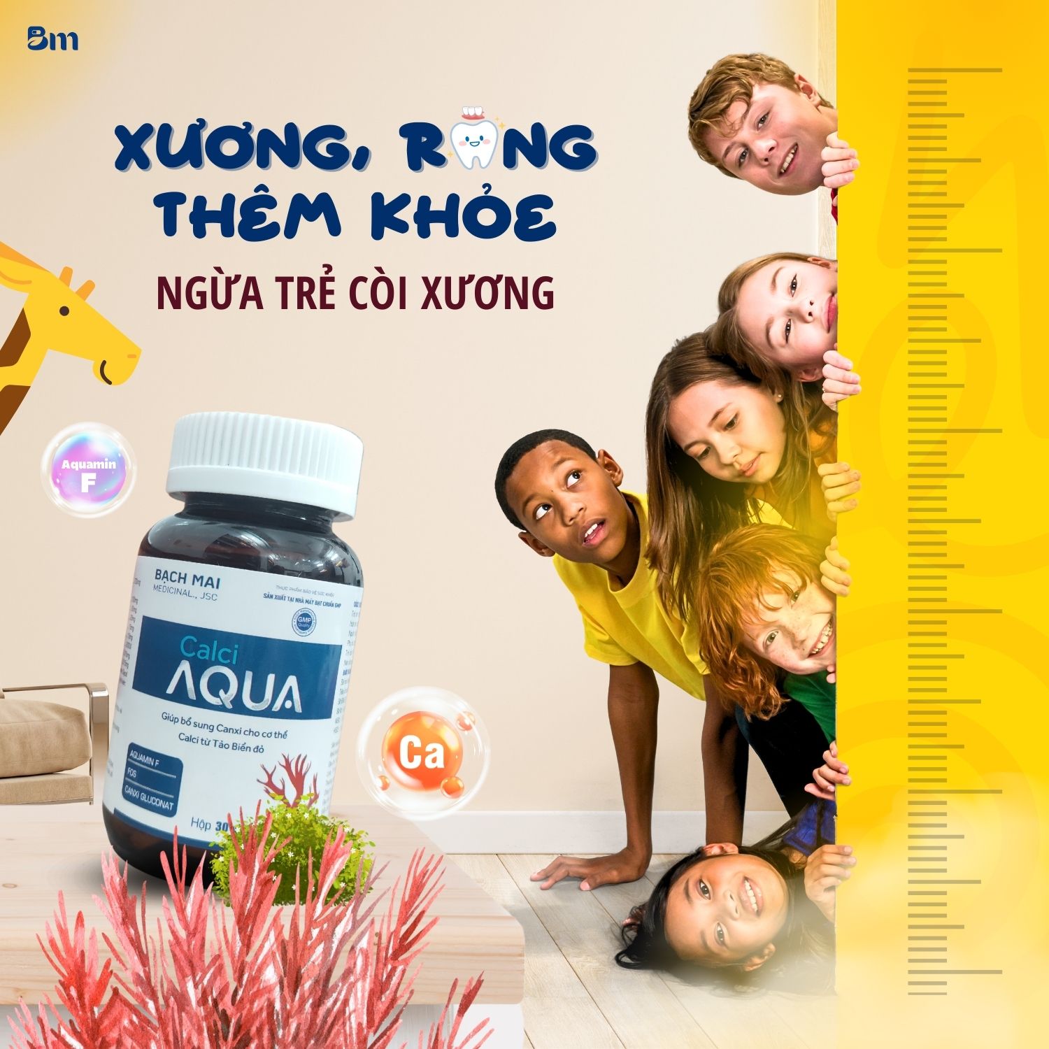 Aquamin F là một nguồn canxi tự nhiên quý giá, được chiết xuất từ tảo biển đỏ
