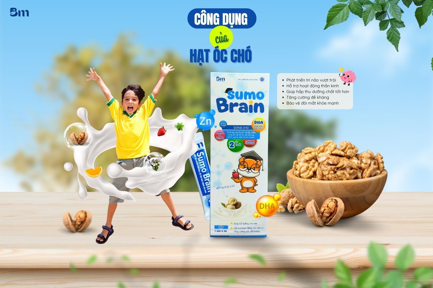 Công dụng của hạt óc chólà tích cực đối với sự phát triển toàn diện cả về thể chất lẫn trí tuệ