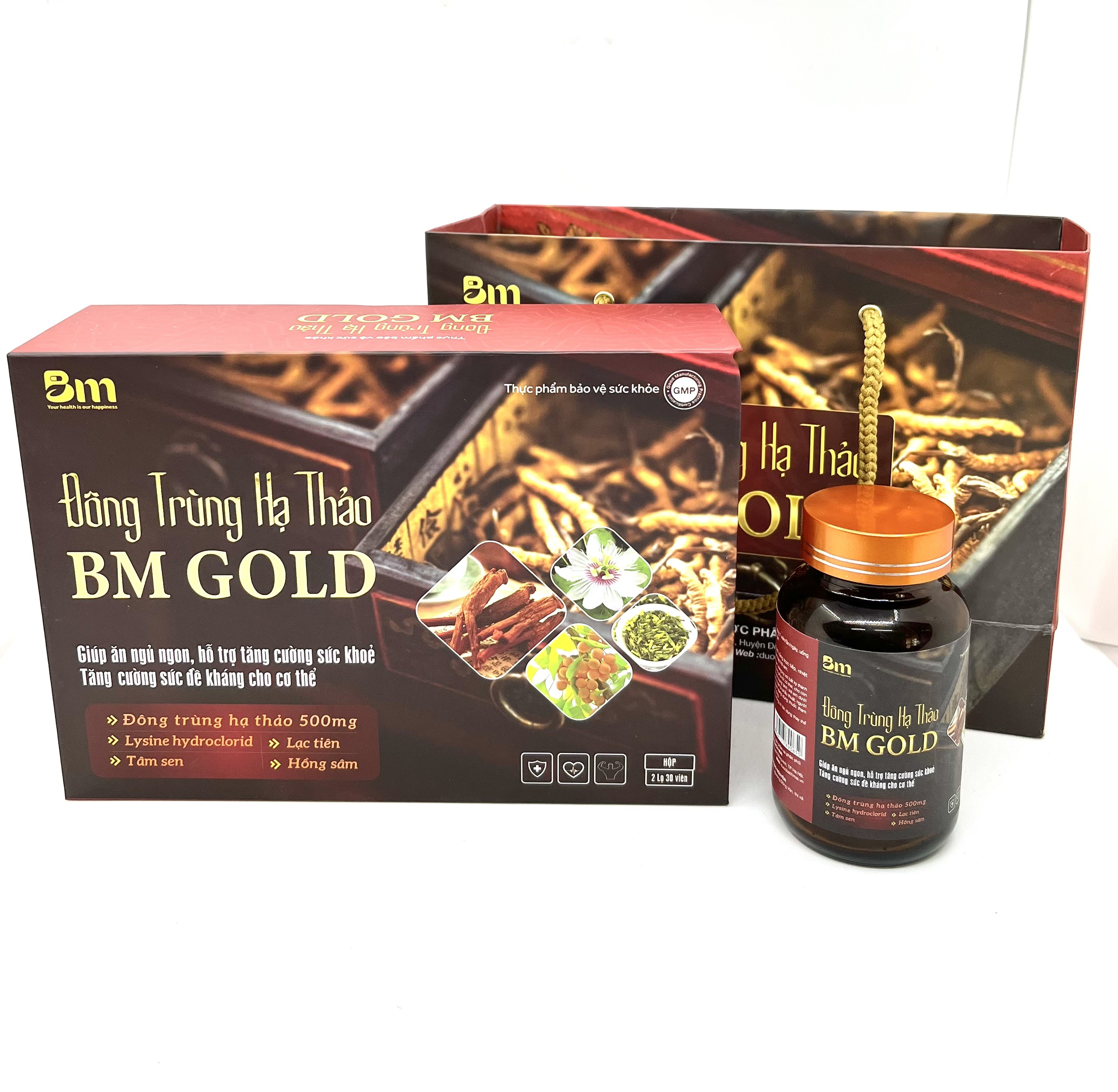 dong-trung-ha-thao-bach-mai-1