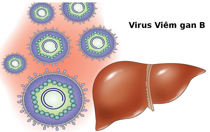 viem-gan-virus.jpg