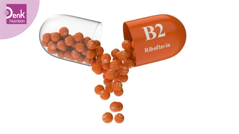 Vitamin B2 là gì?